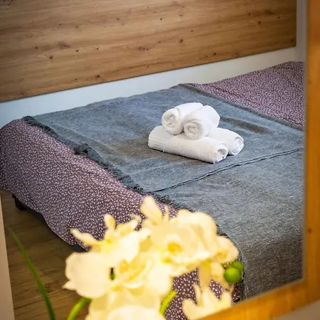 Gas - Sami Swoi Antonie