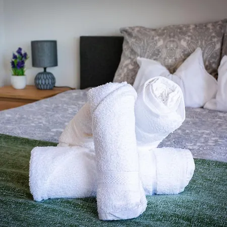 Gas - Sami Swoi Antonie